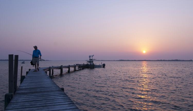  - Région de Fort Myers, Sanibel et son archipel