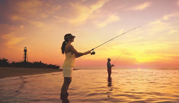  - Région de Fort Myers, Sanibel et son archipel