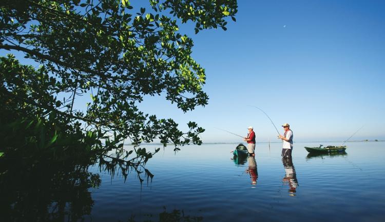  - Région de Fort Myers, Sanibel et son archipel