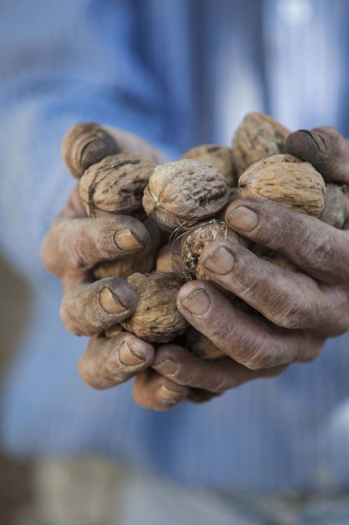  - le Festival International de la Photographie Culinaire