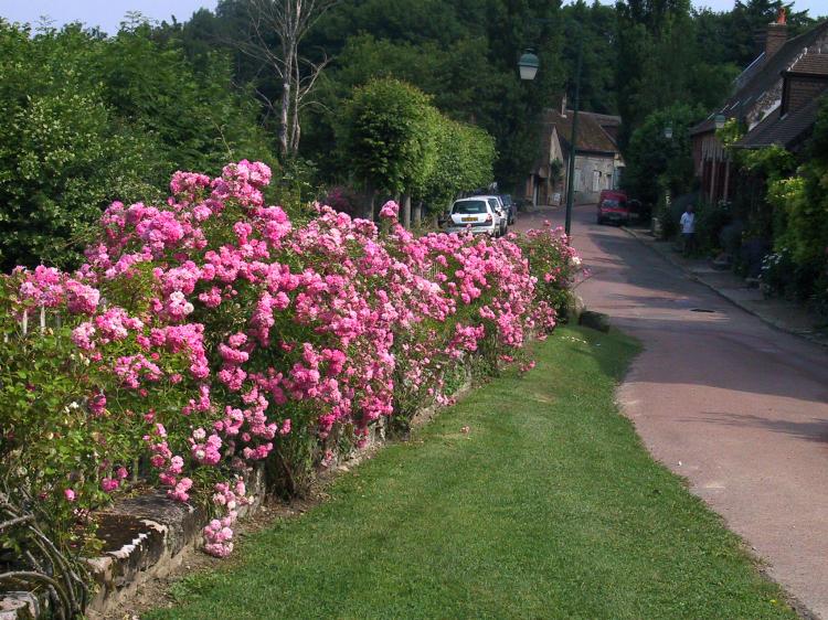  - Gerberoy, petit village de Picardie