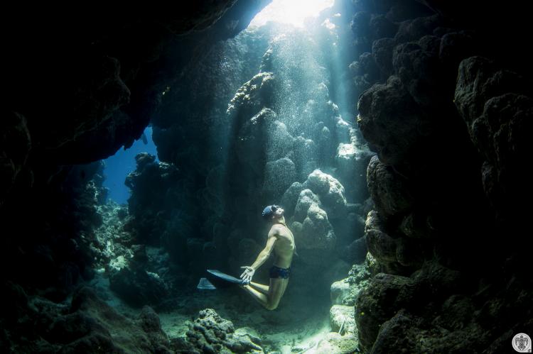  - Surf : voyage au coeur des vagues tahitiennes