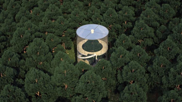  - La petite maison dans la... forêt du Kazakhstan