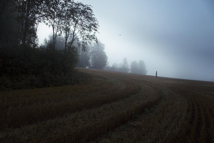  - L'art de photographier le silence