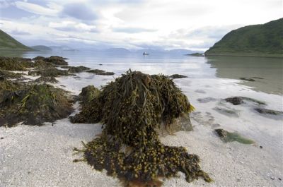  - La Norvège des Fjords