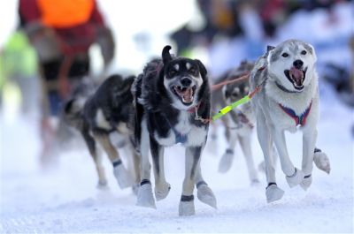  - Finnmark - Norvège