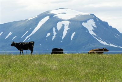  - Finnmark - Norvège