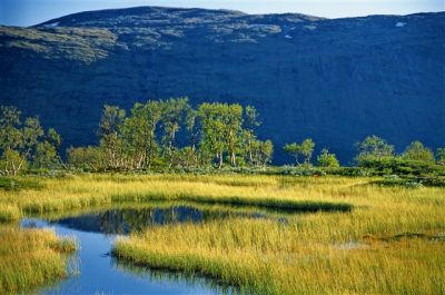  - Finnmark - Norvège