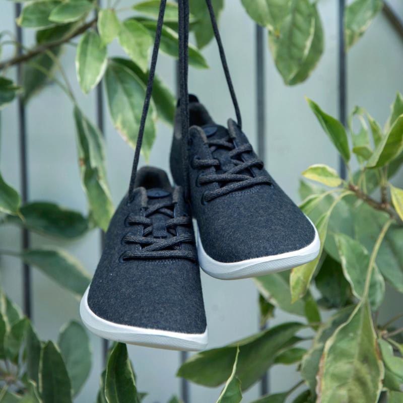  - Allbirds, les sneakers les plus confortables du monde