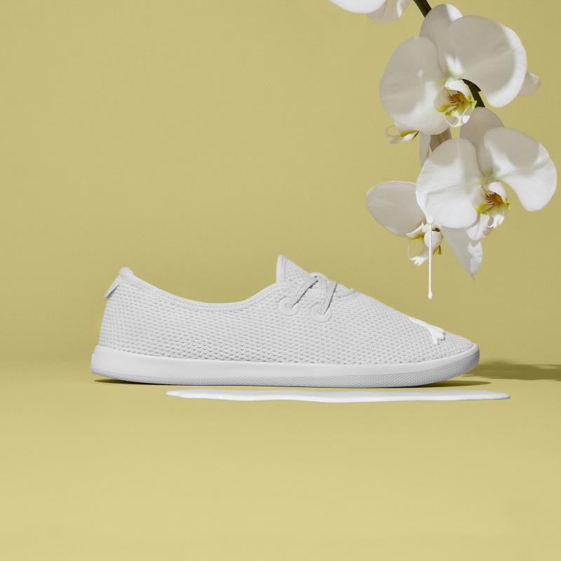  - Allbirds, les sneakers les plus confortables du monde