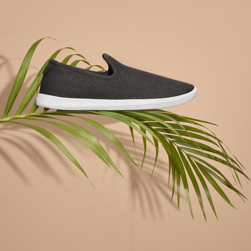  - Allbirds, les sneakers les plus confortables du monde