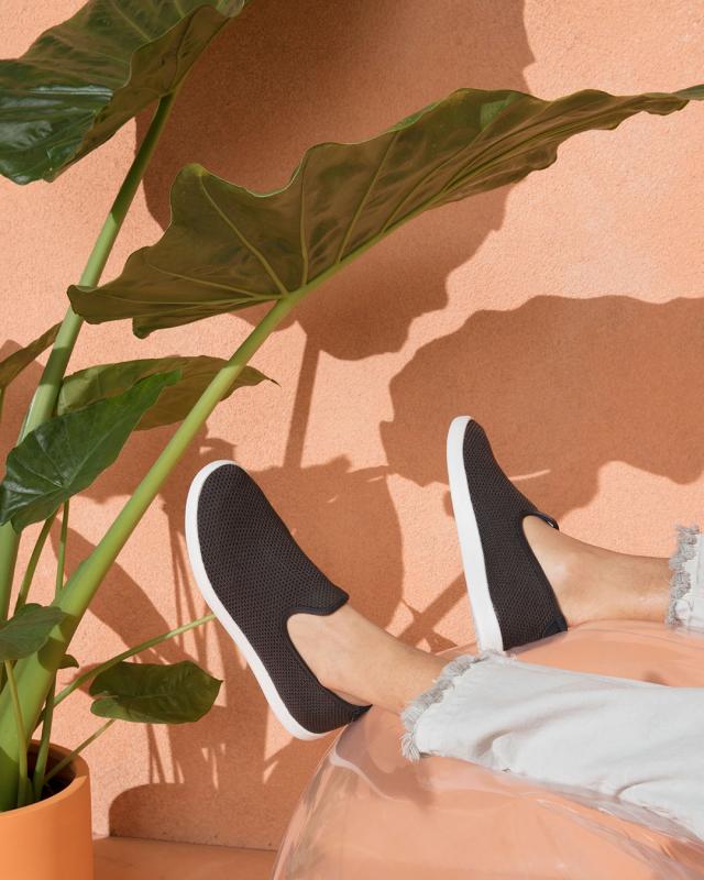  - Allbirds, les sneakers les plus confortables du monde