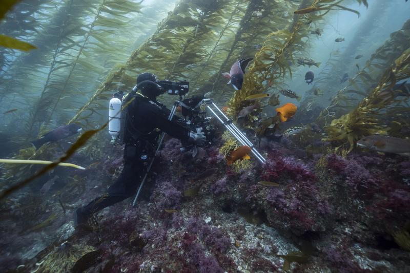  - En images les meilleurs documentaires à voir sur Netflix