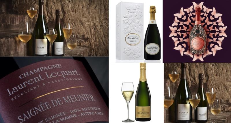  - 9 beaux vins de Champagne pour faire pétiller les fêtes