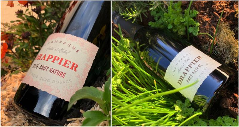  - 9 beaux vins de Champagne pour faire pétiller les fêtes