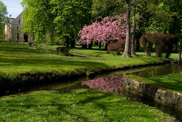  - Abbaye de Royaumont