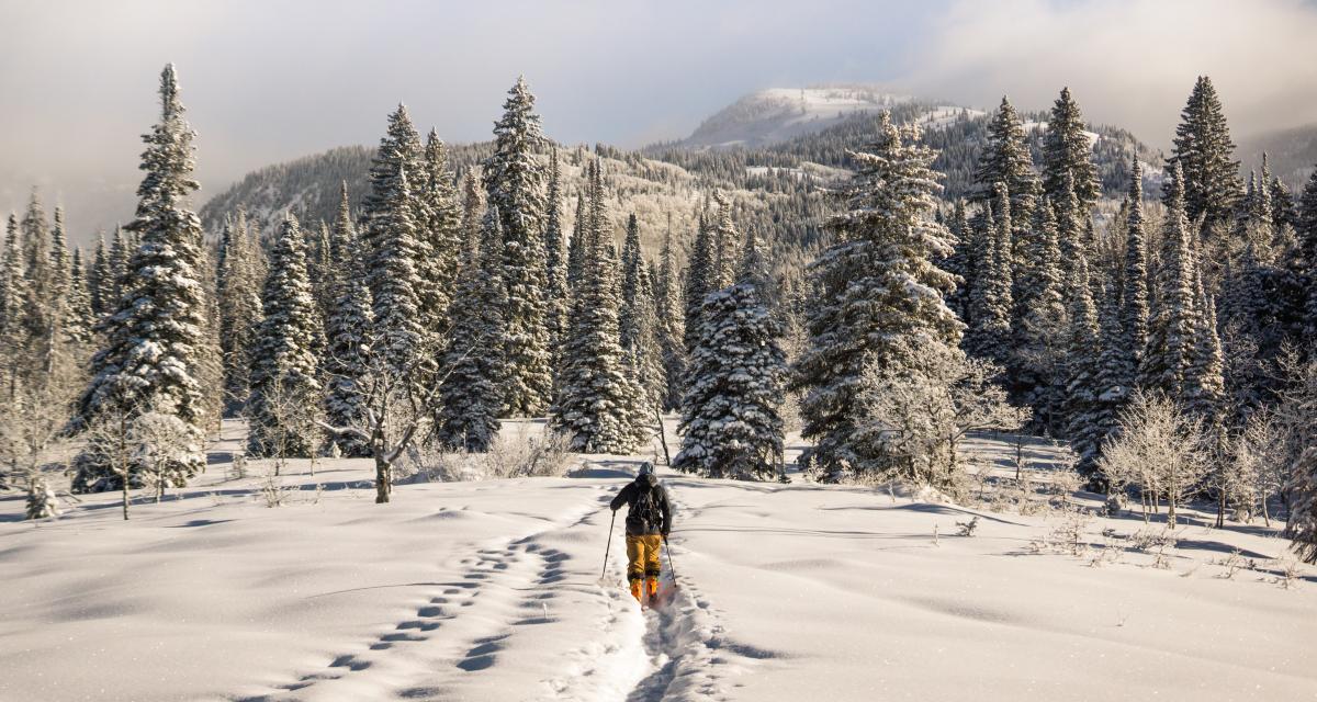 Et si on se mettait au ski de rando ? 