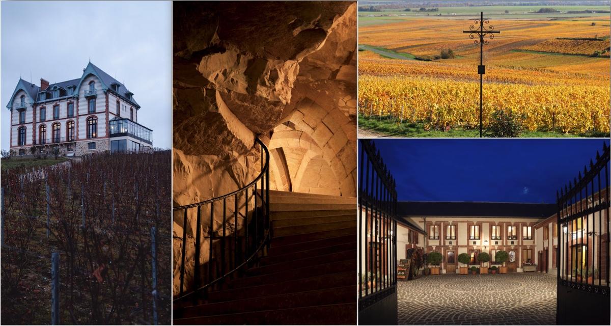  Les meilleures adresses pour visiter les caves de Champagne 