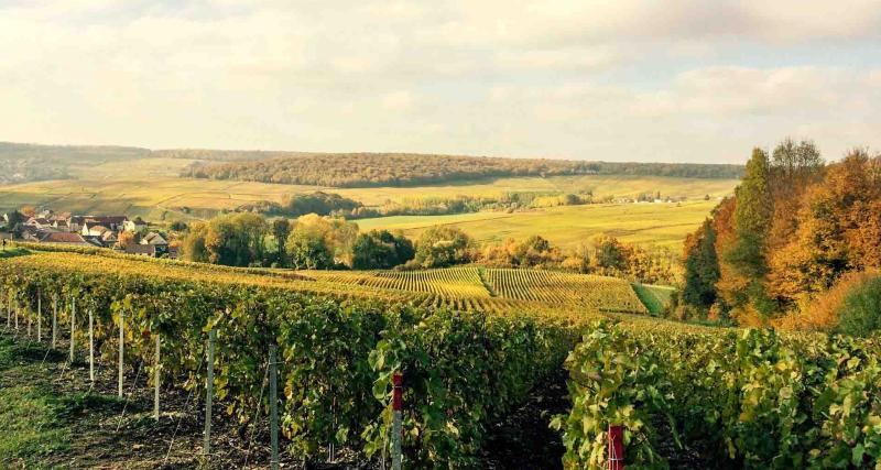  Les meilleures adresses pour visiter les caves de Champagne - Les voûtes de la Maison Penet…