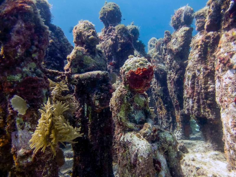  - Musées insolites du monde : d'objets de curiosité à objets de contemplation