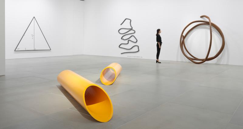 Bernar Venet, rencontre avec un artiste perfectionniste et inclassable - Vous êtes connu comme sculpteur mais vous pratiquez aussi de nombreuses disciplines ?