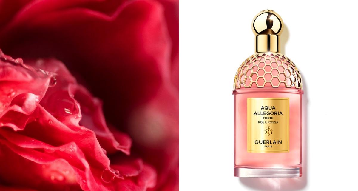 Aqua Allegoria Rosa Rossa, la rose voluptueuse de Guerlain 