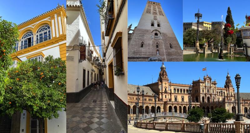 Hacienda Las Alcabalas : une expérience andalouse - A l'Hacienda, le cheval est roi et Maud, secondée par Rosa, régale ses hôtes dans la plus pure tradition espagnole... sans oublier une touche personnelle.