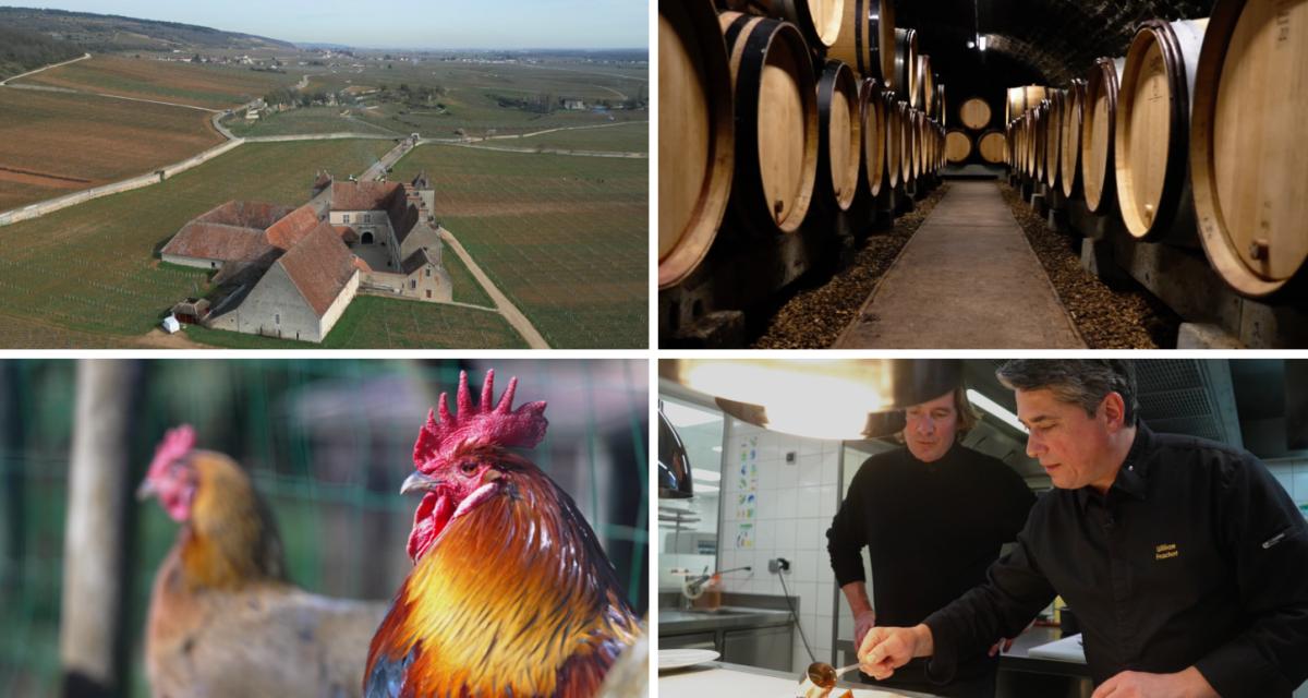 Itinéraire en Bourgogne, de la terre à l'assiette, en passant par le domaine Duroché, la Ferme de la Ruchotte et la table doublement étoilée de William Frachot à Dijon.