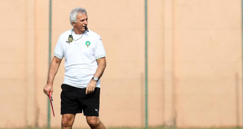  - Maroc : à peine débarqué des Lions de l'Atlas, Halilhodzic déjà sur le point de reprendre du service ?