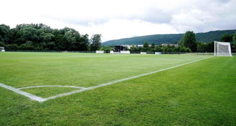  - Football : des sangliers ravagent un terrain en Meurthe-et-Moselle, les images impressionnent