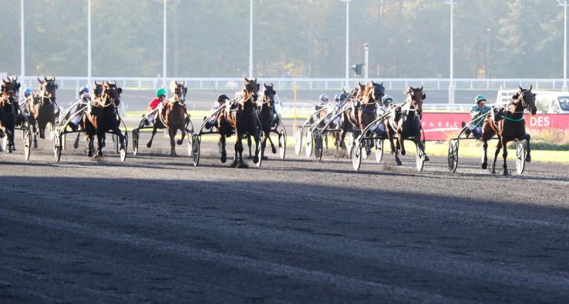  - Résultats course PMU : Lady Pink vainqueur du Prix de la chambre de Monsieur le Prince à Chantilly