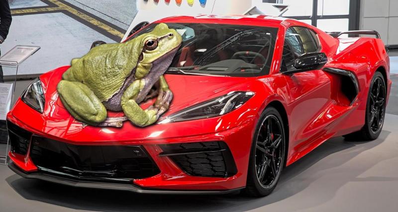  - Corvette, future marque de SUV électrique