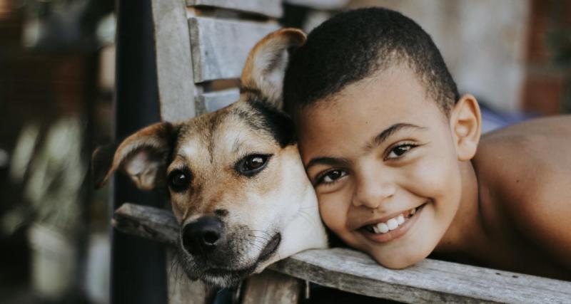  - Les animaux de compagnie contribueraient (très) positivement à l’épanouissement des enfants