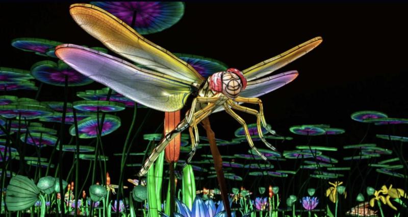  - La féérie des fêtes en une expo : les (magiques) Illuminations du Jardin des Plantes