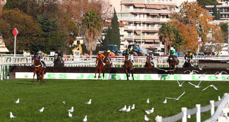  - Résultats course PMU : Free Lord d'Anjou vainqueur du Prix Biraben Foie Gras de Pau