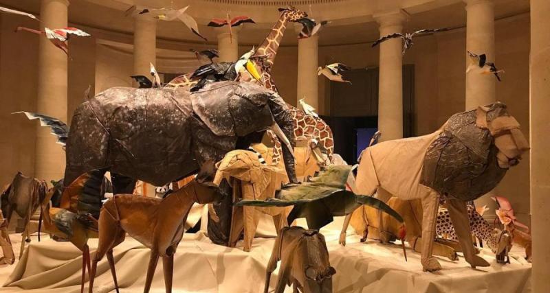  - Exposition d’origamis : le « Zoo de papier » qui a plié le game 