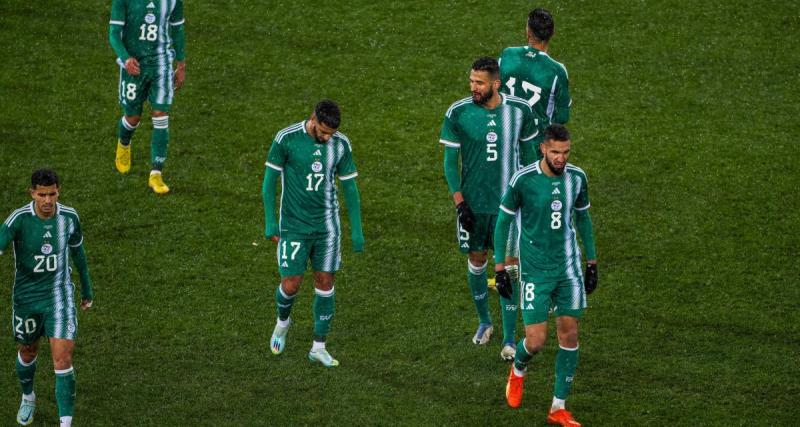  - Algérie : l’appel du pied d’un cadre de Belmadi au LOSC !