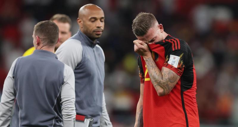  - Belgique : après Lukaku, un autre cadre des Diables Rouges milite pour Thierry Henry !