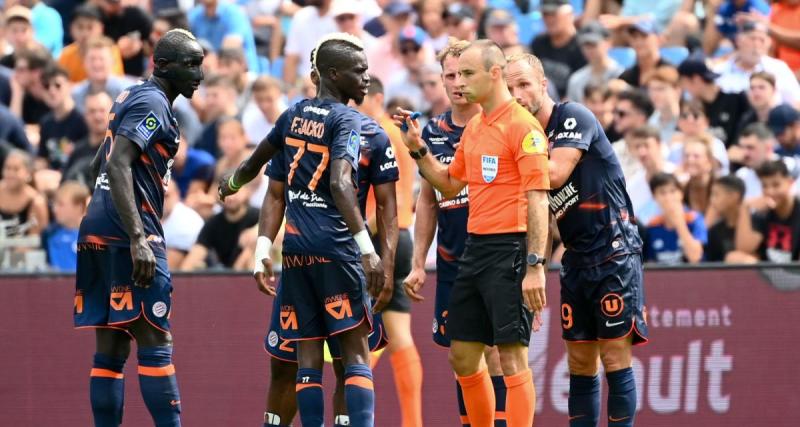  - Montpellier : Le groupe pour le déplacement à Pau