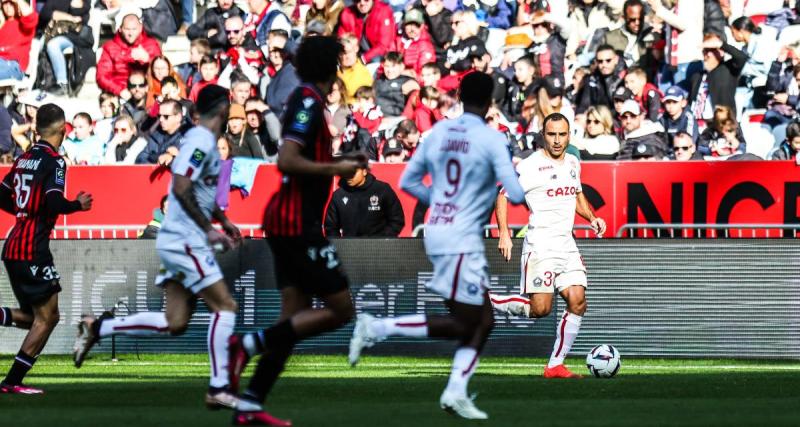  - Nice - Lille : un pigeon blessé provoque l'interruption du match !