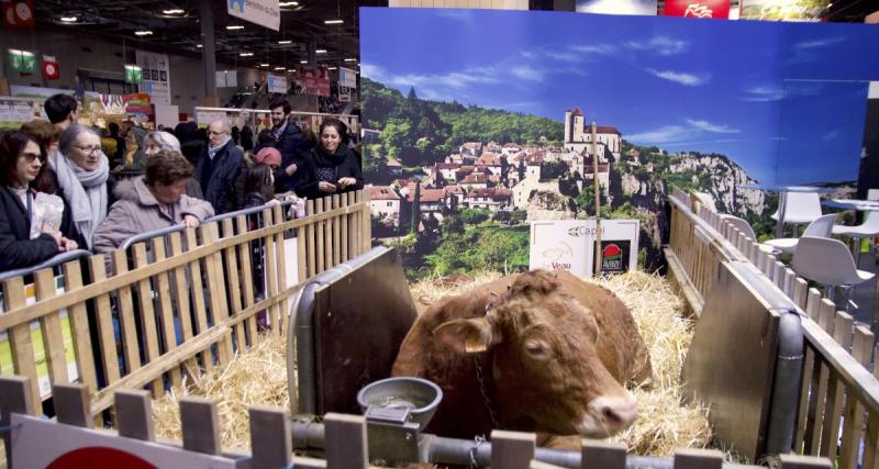  - Activité en famille : 5 attractions à ne pas manquer au Salon International de l’Agriculture 2023