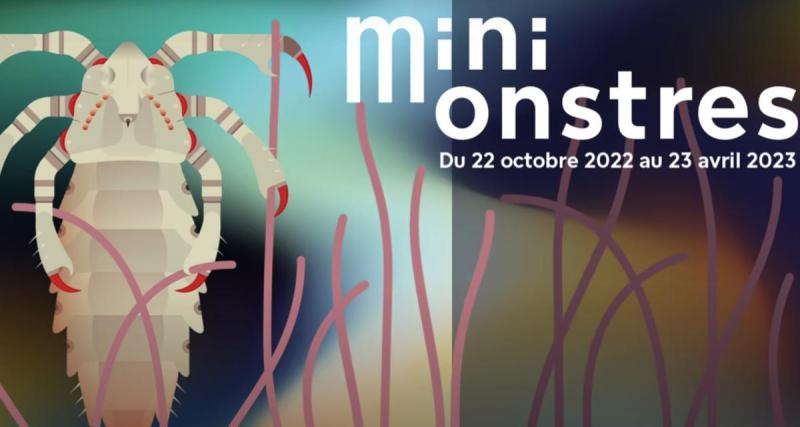  - Activité en famille : « Mini Monstres », l’expo qui réconcilie humains et petites bestioles !