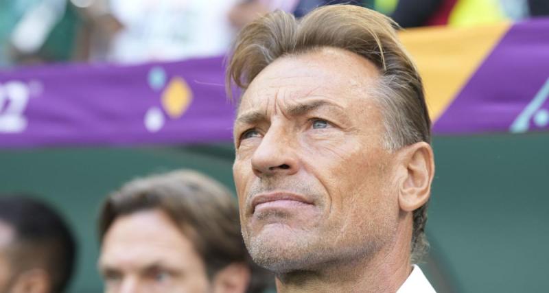 - Equipe de France féminine : Hervé Renard intéressé mais…