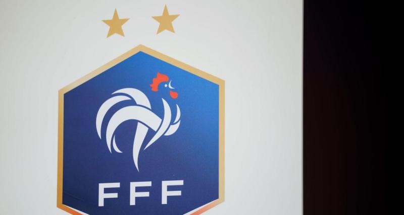  - Equipe de France (F) : une nouvelle candidature en vue du remplacement de Corinne Diacre 
