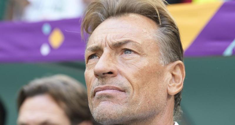  - Equipe de France Féminine : Hervé Renard grand favori