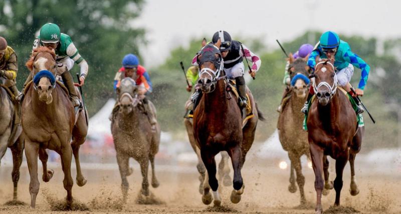  - Résultats course PMU : New President vainqueur du Prix Predicateur d'Auteuil