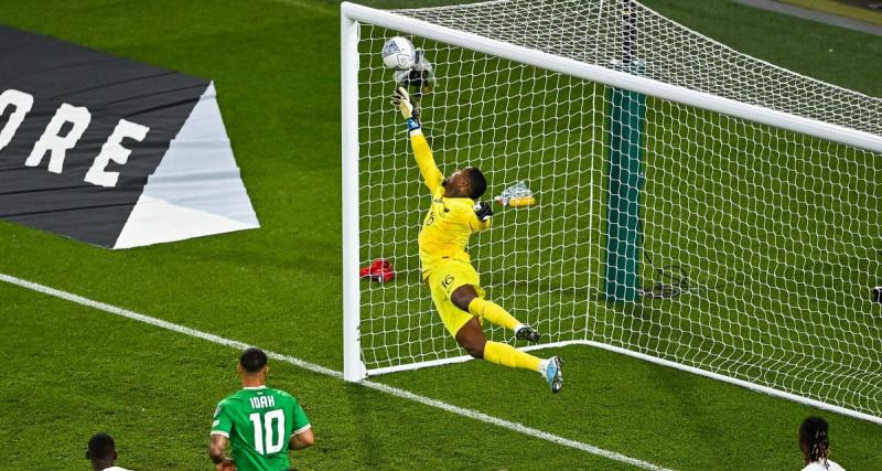  - Irlande - France : le clin d'oeil de Maignan à son arrêt monstrueux