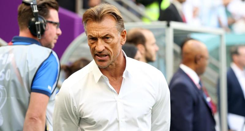  - Equipe de France (F) : un énorme sacrifice financier de Renard pour signer ?