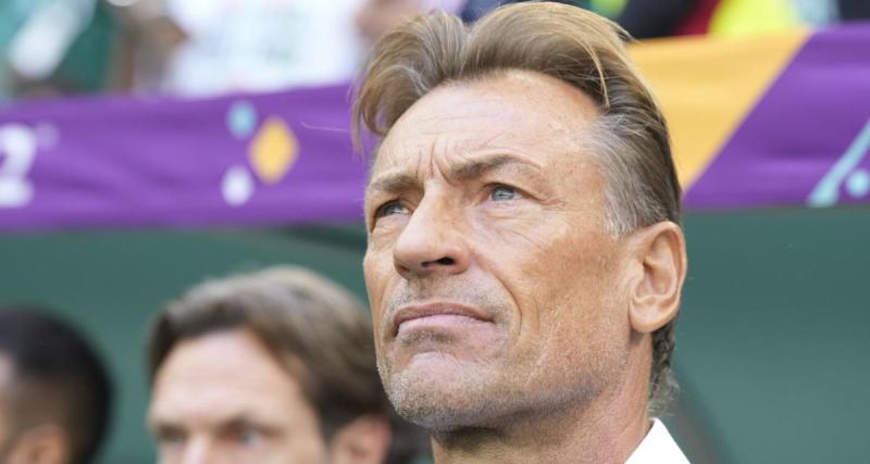 - Equipe de France (F) : la date de la signature d'Hervé Renard connue ?