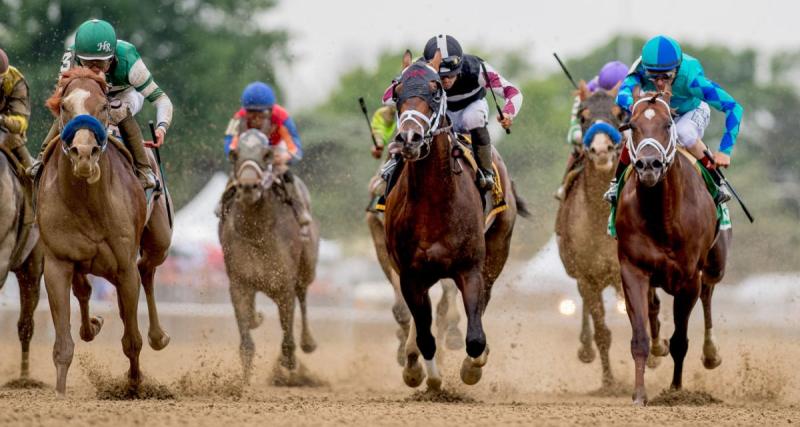  - Résultats course PMU : Norwegian Sir vainqueur du Prix du Pavillon Royal à ParisLongchamp